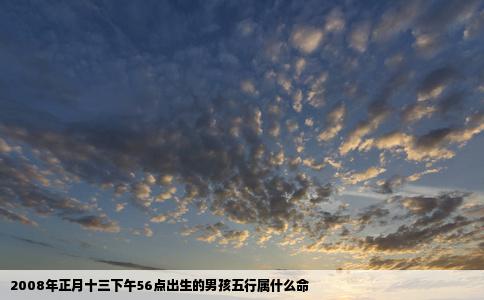 2008年正月十三下午56点出生的男孩五行属什么命