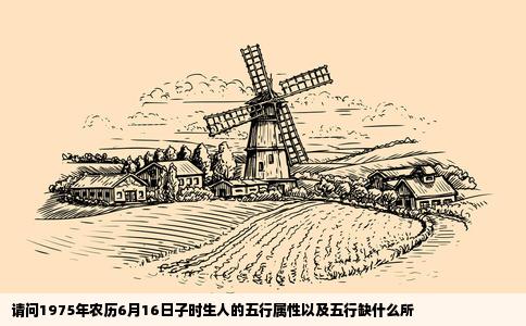 请问1975年农历6月16日子时生人的五行属性以及五行缺什么所