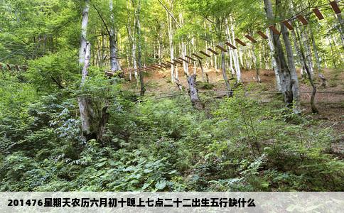 201476星期天农历六月初十晚上七点二十二出生五行缺什么