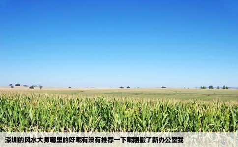 深圳的风水大师哪里的好呢有没有推荐一下呢刚搬了新办公室我