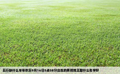五行缺什么羊年农历9月16日5点58分出生的男孩姓王取什么名字好
