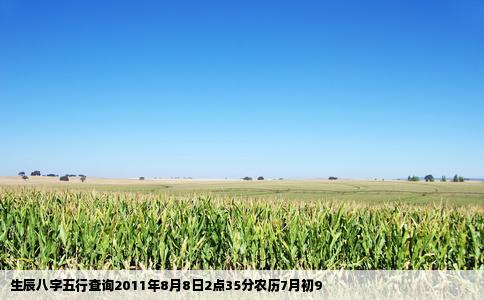 生辰八字五行查询2011年8月8日2点35分农历7月初9