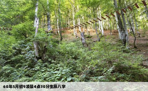 60年5月初9凌晨4点30分生辰八字