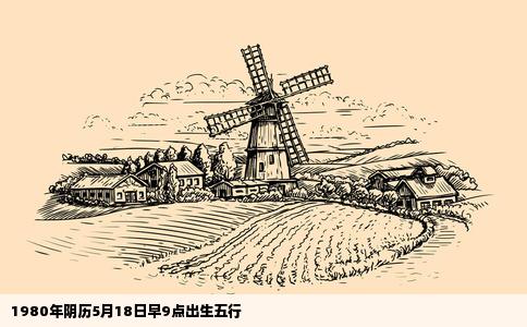 1980年阴历5月18日早9点出生五行