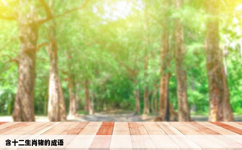 含十二生肖猪的成语