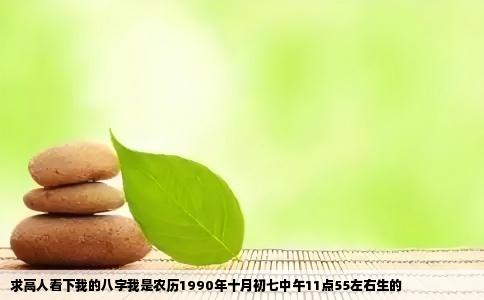求高人看下我的八字我是农历1990年十月初七中午11点55左右生的
