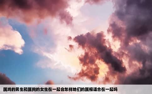 属鸡的男生和属狗的女生在一起会怎样她们的属相适合在一起吗