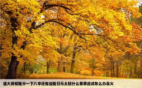 请大师帮我分一下八字还有说我日元太旺什么意思应该怎么办喜火