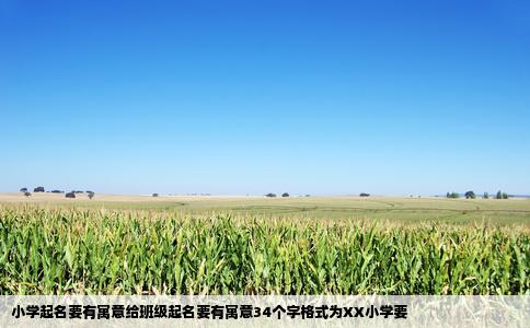 小学起名要有寓意给班级起名要有寓意34个字格式为XX小学要