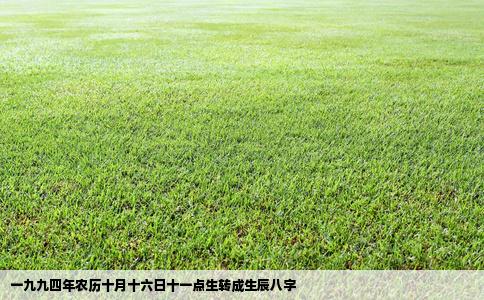 一九九四年农历十月十六日十一点生转成生辰八字