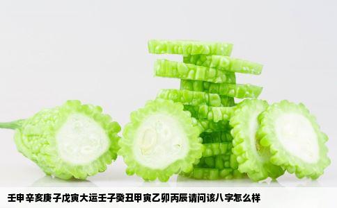 壬申辛亥庚子戊寅大运壬子癸丑甲寅乙卯丙辰请问该八字怎么样