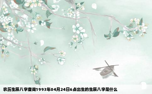 农历生辰八字查询1993年04月24日6点出生的生辰八字是什么