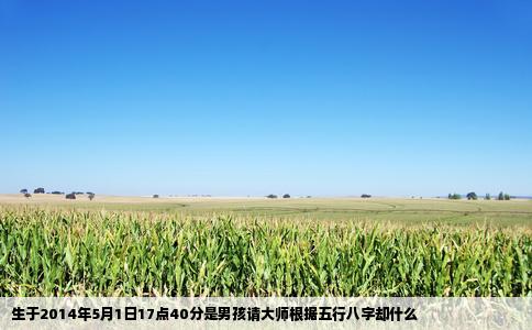 生于2014年5月1日17点40分是男孩请大师根据五行八字却什么