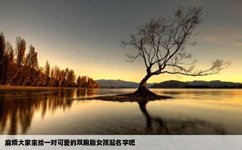 麻烦大家来给一对可爱的双胞胎女孩起名字吧