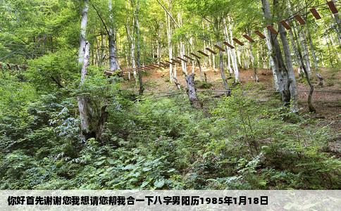 你好首先谢谢您我想请您帮我合一下八字男阳历1985年1月18日