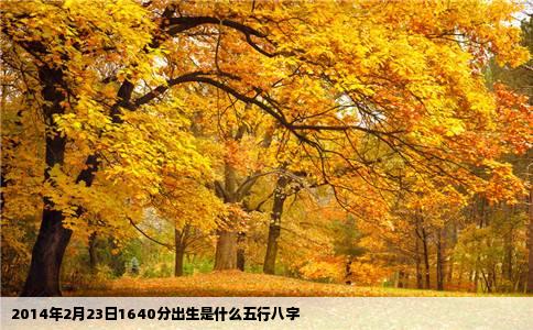 2014年2月23日1640分出生是什么五行八字