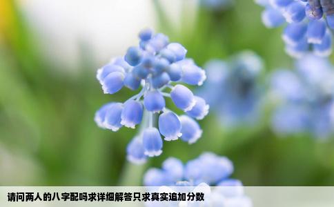 请问两人的八字配吗求详细解答只求真实追加分数