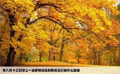 年八月十三日早上一点多钟出生的男的五行缺什么谢谢