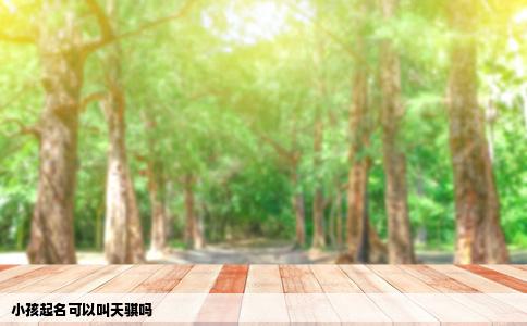 小孩起名可以叫天骐吗