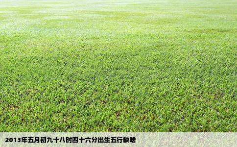 2013年五月初九十八时四十六分出生五行缺啥