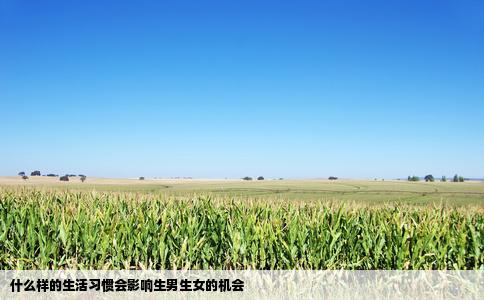 什么样的生活习惯会影响生男生女的机会