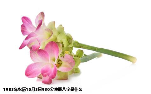 1983年农历10月3日930分生辰八字是什么