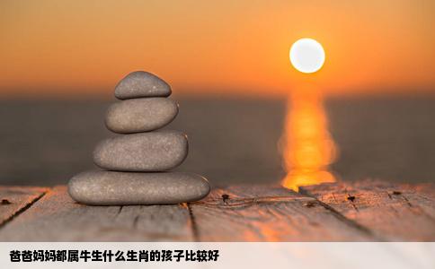 爸爸妈妈都属牛生什么生肖的孩子比较好