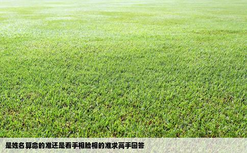 是姓名算命的准还是看手相脸相的准求高手回答
