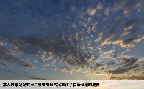 本人姓李妈妈姓王给男宝宝起名寓意孩子快乐健康的成长