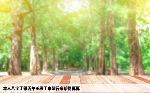 本人八字丁卯丙午壬辰丁未望行家帮我算算