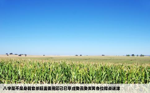 八字是不是身弱官杀旺需要用印己巳甲戌癸丑癸亥男各位指点迷津