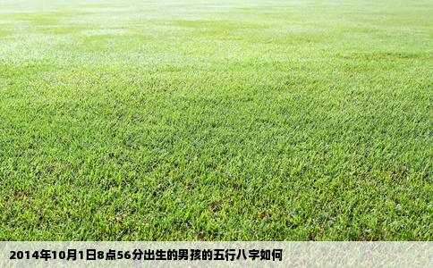 2014年10月1日8点56分出生的男孩的五行八字如何