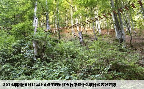 2014年阴历8月11早上6点生的男孩五行中缺什么取什么名好姓陈