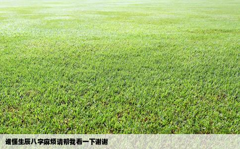 谁懂生辰八字麻烦请帮我看一下谢谢