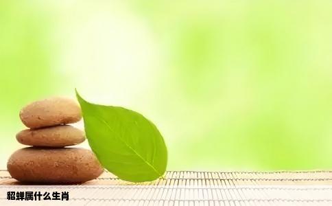 貂蝉属什么生肖