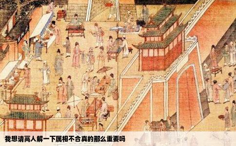 我想请高人解一下属相不合真的那么重要吗