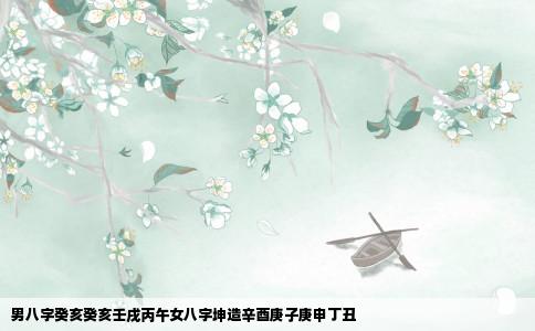 男八字癸亥癸亥壬戌丙午女八字坤造辛酉庚子庚申丁丑