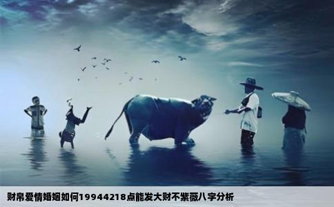 财帛爱情婚姻如何19944218点能发大财不紫薇八字分析