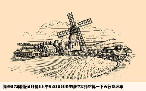 我是87年阴历6月初5上午9点30分出生哪位大师给算一下五行交运年
