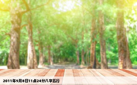 2011年9月8日11点24分八字五行