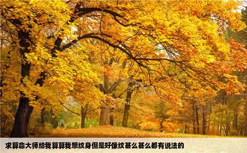 求算命大师给我算算我想纹身但是好像纹甚么甚么都有说法的