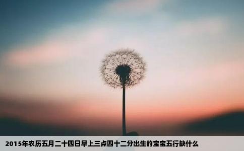 2015年农历五月二十四日早上三点四十二分出生的宝宝五行缺什么
