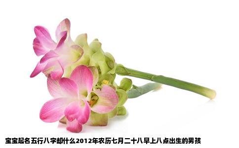 宝宝起名五行八字却什么2012年农历七月二十八早上八点出生的男孩