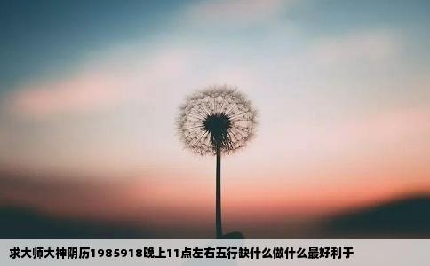 求大师大神阴历1985918晚上11点左右五行缺什么做什么最好利于
