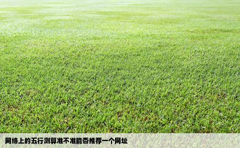 网络上的五行测算准不准能否推荐一个网址