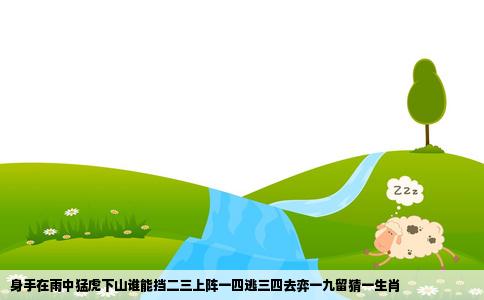 身手在雨中猛虎下山谁能挡二三上阵一四逃三四去弈一九留猜一生肖