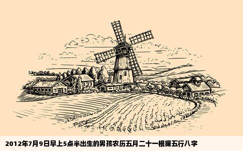 2012年7月9日早上5点半出生的男孩农历五月二十一根据五行八字