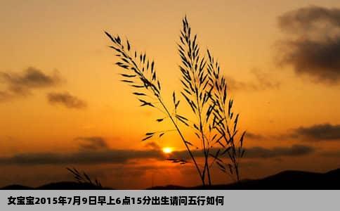 女宝宝2015年7月9日早上6点15分出生请问五行如何