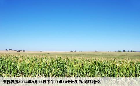 五行农历2014年9月15日下午17点30分出生的小孩缺什么