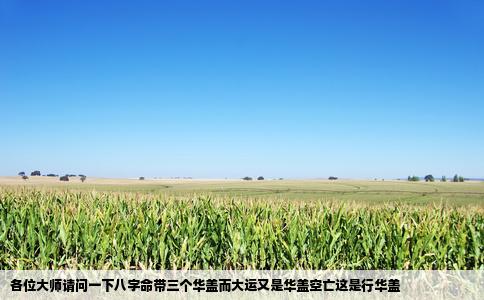 各位大师请问一下八字命带三个华盖而大运又是华盖空亡这是行华盖